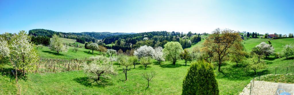 Golf & Thermenland Sonnenpension Fruehstueckshotel Burgauberg Stegersbach Luaran gambar